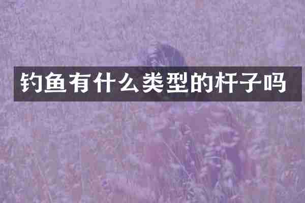 钓鱼有什么类型的杆子吗