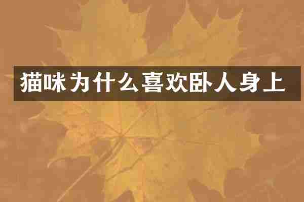 猫咪为什么喜欢卧人身上