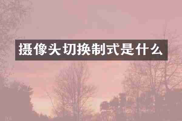 摄像头切换制式是什么
