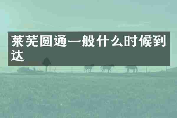 莱芜圆通一般什么时候到达