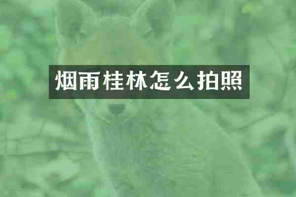 烟雨桂林怎么拍照