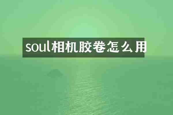 soul相机胶卷怎么用