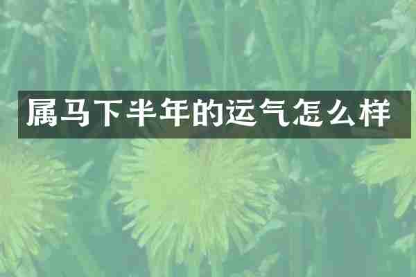 属马下半年的运气怎么样