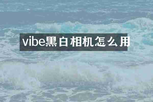 vibe黑白相机怎么用