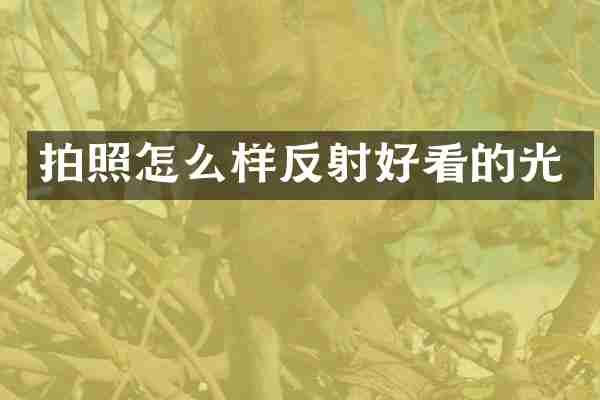 拍照怎么样反射好看的光