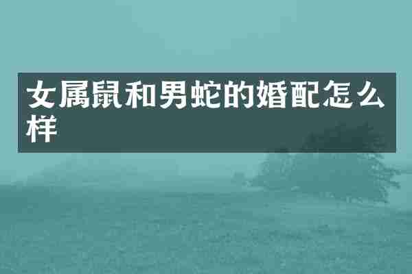 女属鼠和男蛇的婚配怎么样
