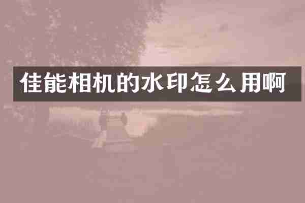 佳能相机的水印怎么用啊