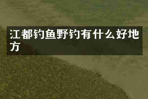江都钓鱼野钓有什么好地方