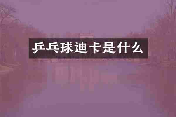 乒乓球迪卡是什么