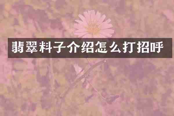 翡翠料子介绍怎么打招呼