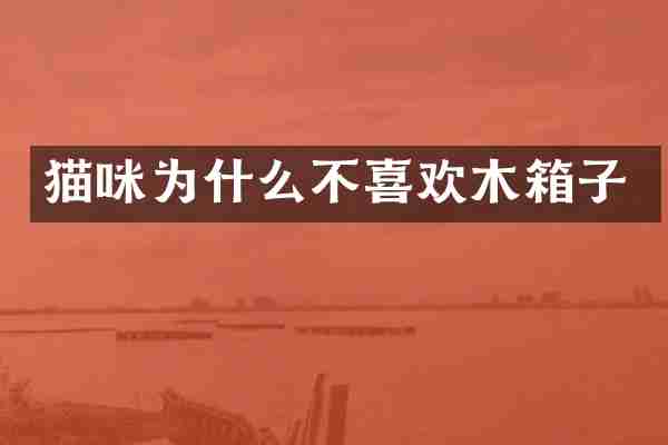 猫咪为什么不喜欢木箱子