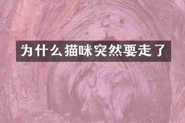 为什么猫咪突然要走了