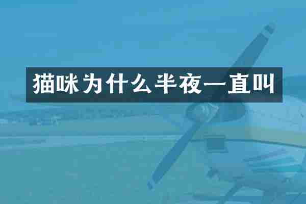 猫咪为什么半夜一直叫