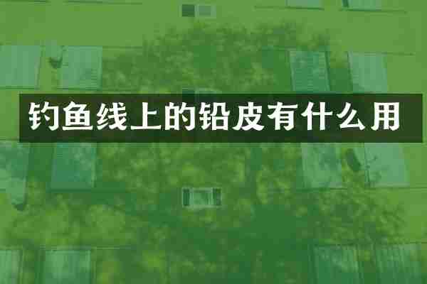 钓鱼线上的铅皮有什么用
