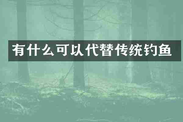 有什么可以代替传统钓鱼