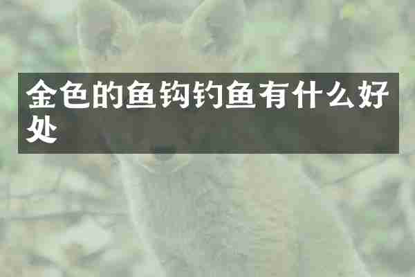 金色的鱼钩钓鱼有什么好处
