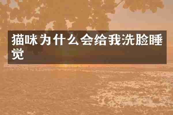 猫咪为什么会给我洗脸睡觉