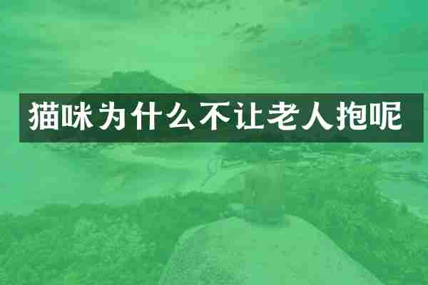 猫咪为什么不让老人抱呢