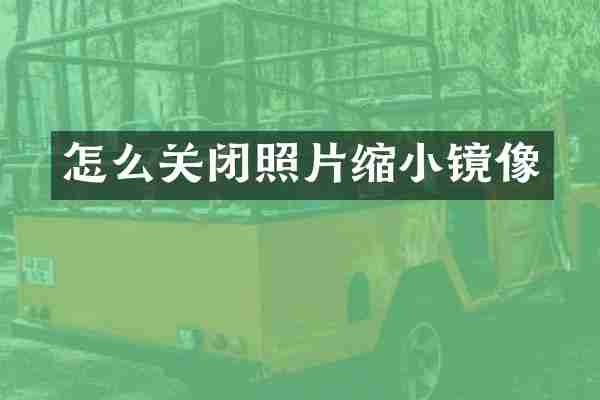 怎么关闭照片缩小镜像