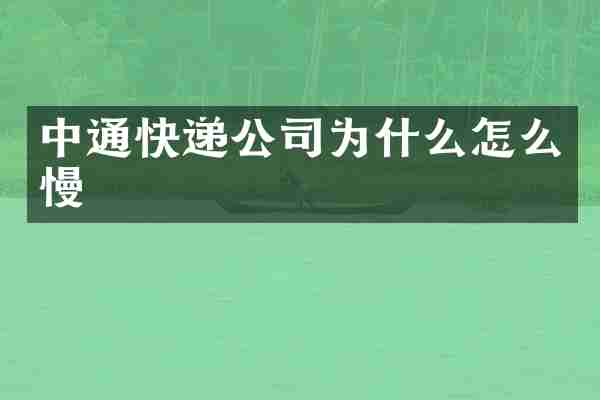 中通快递公司为什么怎么慢