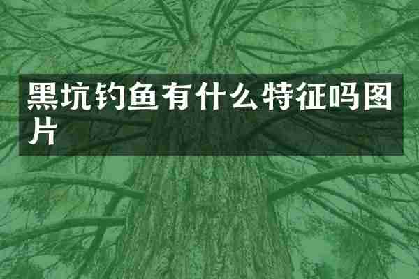 黑坑钓鱼有什么特征吗图片