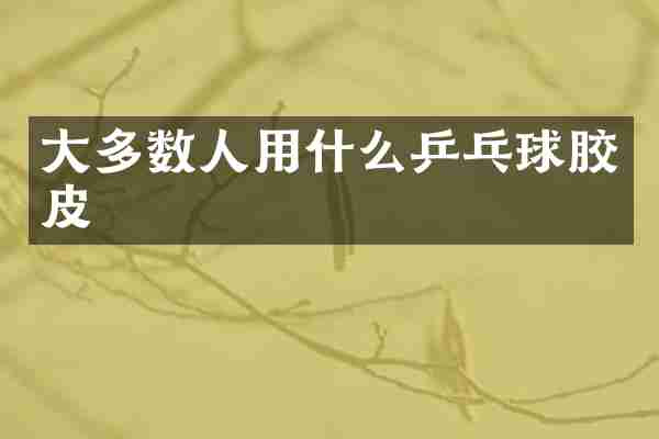 大多数人用什么乒乓球胶皮