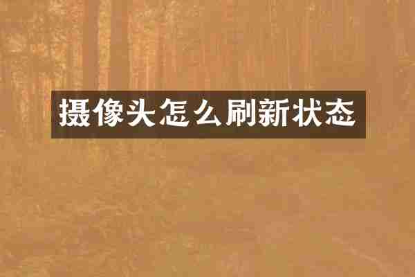 摄像头怎么刷新状态