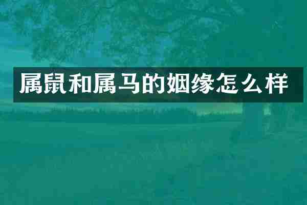 属鼠和属马的姻缘怎么样