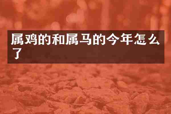 属鸡的和属马的今年怎么了