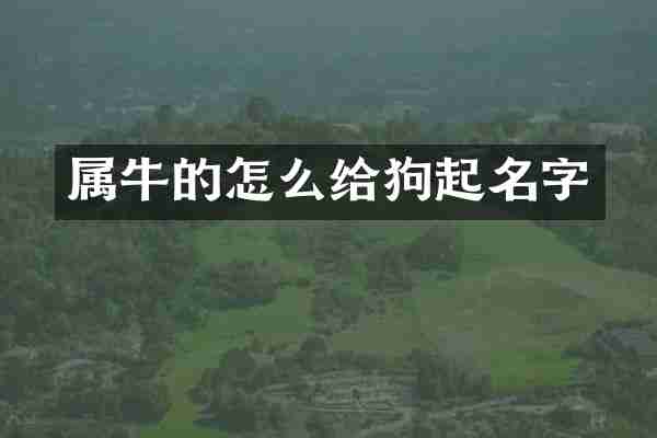 属牛的怎么给狗起名字