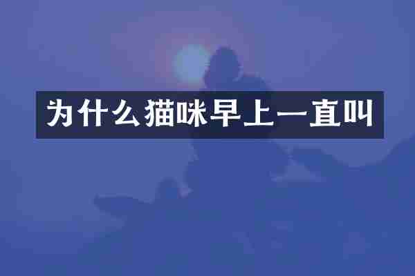 为什么猫咪早上一直叫