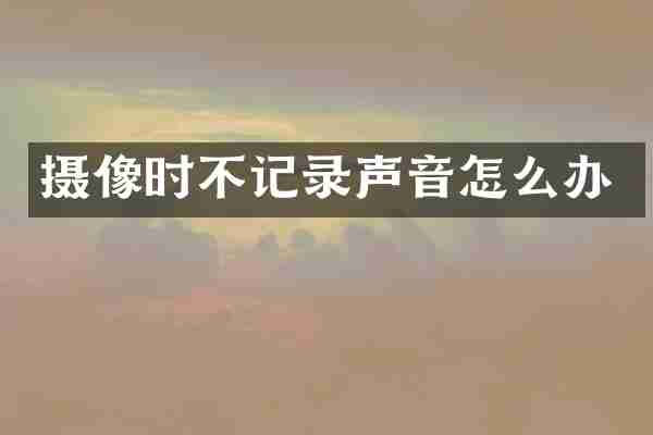 摄像时不记录声音怎么办