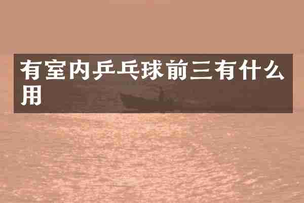 有室内乒乓球前三有什么用
