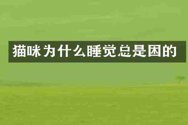 猫咪为什么睡觉总是困的