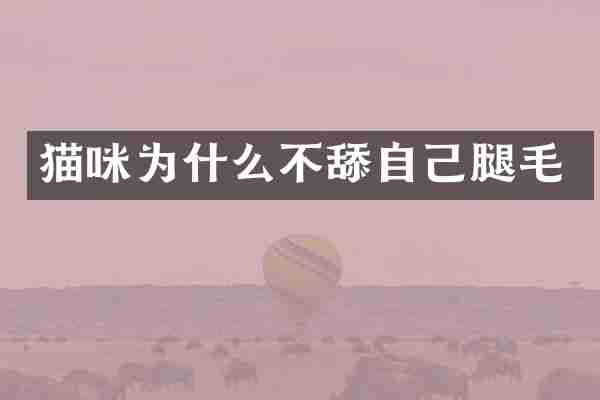 猫咪为什么不舔自己腿毛