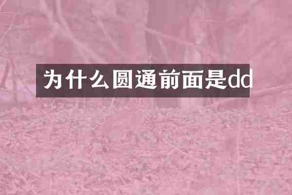 为什么圆通前面是dd