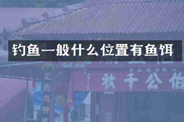 钓鱼一般什么位置有鱼饵