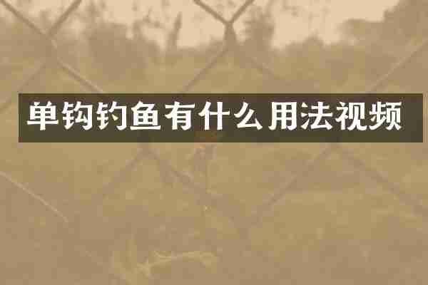 单钩钓鱼有什么用法视频