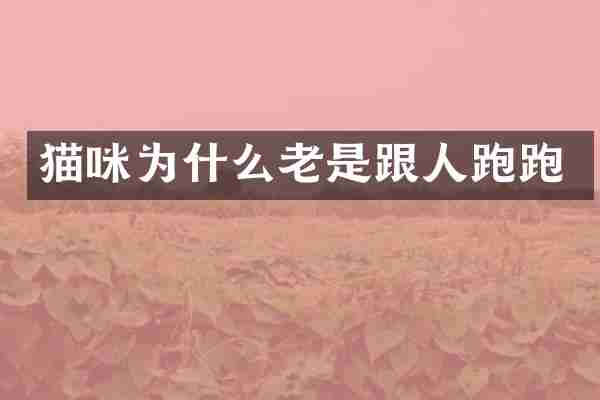 猫咪为什么老是跟人跑跑