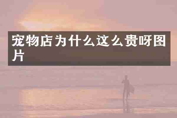宠物店为什么这么贵呀图片