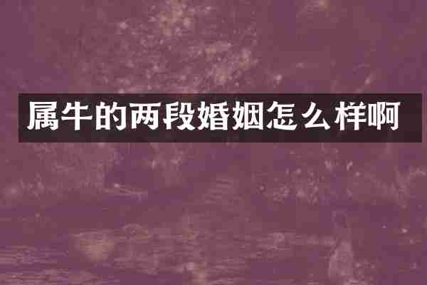 属牛的两段婚姻怎么样啊