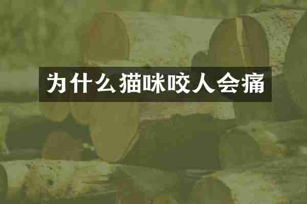 为什么猫咪咬人会痛