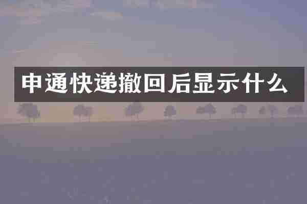 申通快递撤回后显示什么