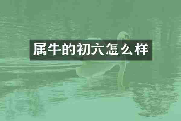 属牛的初六怎么样