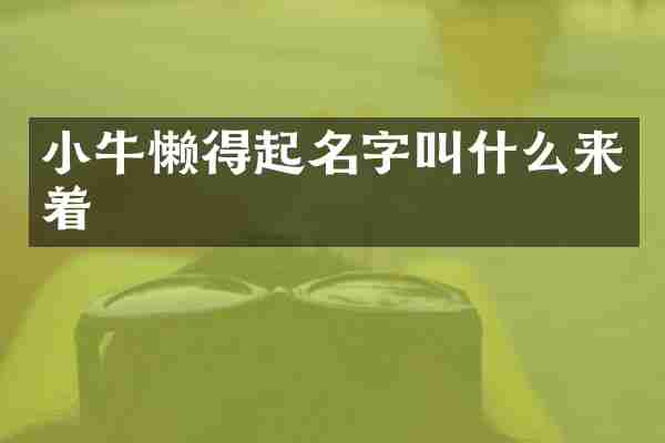 小牛懒得起名字叫什么来着
