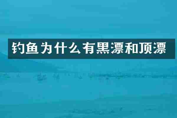 钓鱼为什么有黑漂和顶漂