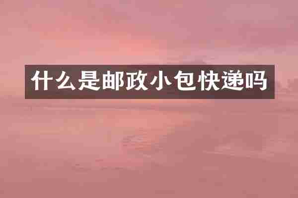 什么是邮政小包快递吗