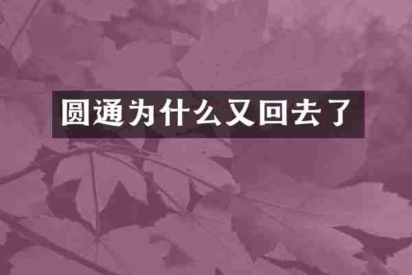 圆通为什么又回去了