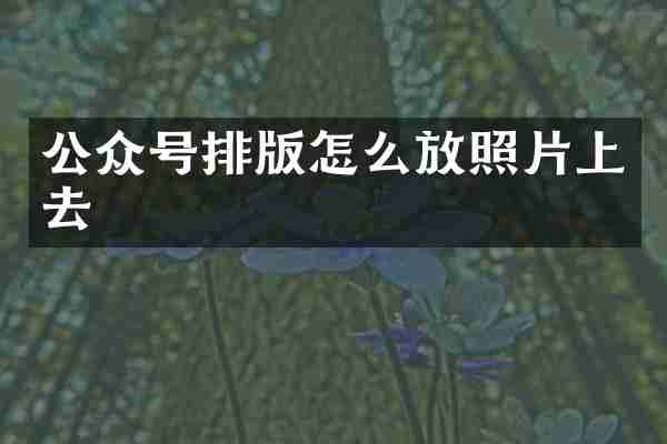 公众号排版怎么放照片上去