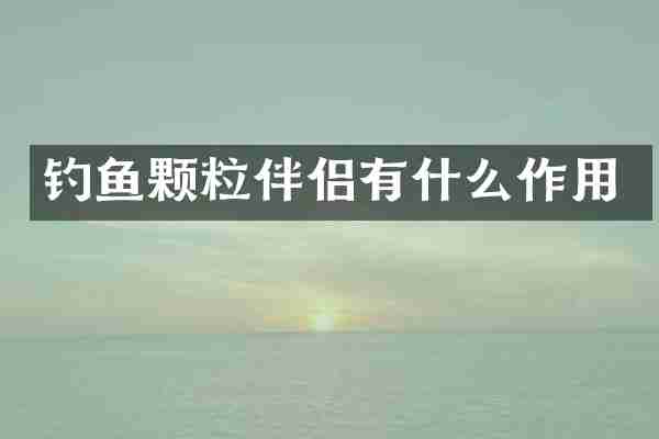 钓鱼颗粒伴侣有什么作用